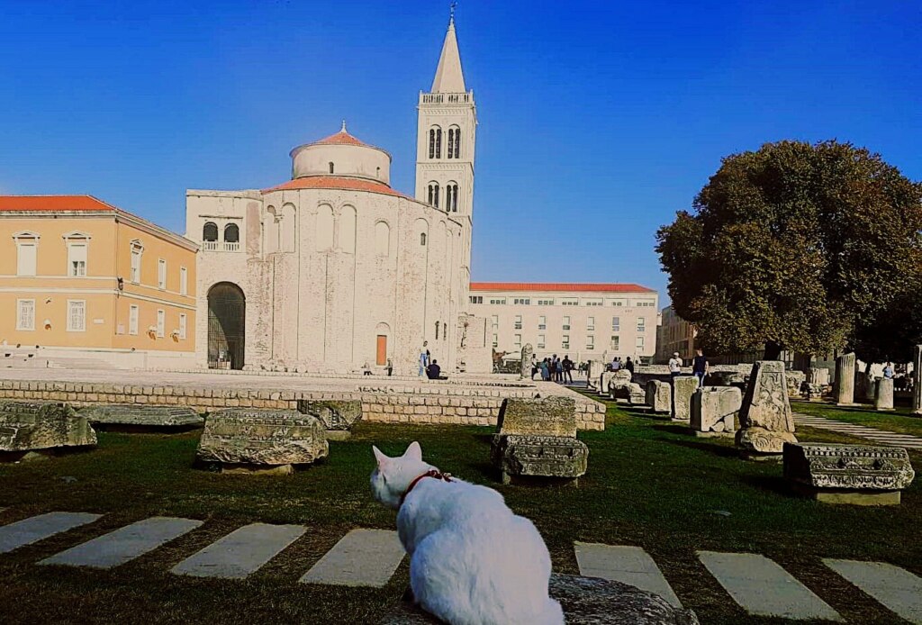 ZADAR MAŁE WŁOCHY – ABSURDALNE GRANICE